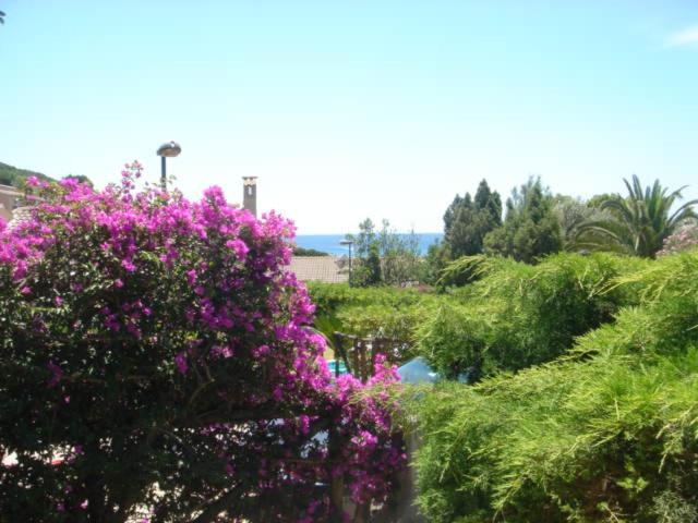 Villa Rosetta Chia Buitenkant foto